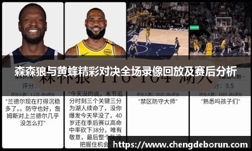 森森狼与黄蜂精彩对决全场录像回放及赛后分析